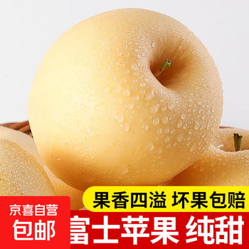 First batch of special grade shandong yantai golden cream apple crispy sweet fuji seasonal fresh fruit rock candy whole box with box 9 pounds of super value large fruit (80mm+)