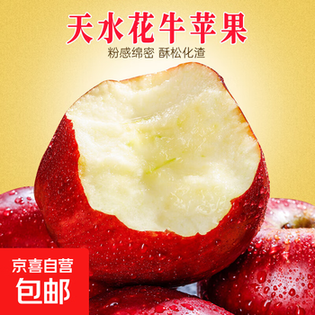 Gansu tianshui huaniu apple fresh red snake noodles ugly ping an christmas fruit seasonal fruit whole box free shipping 3 pieces single fruit 65mm+