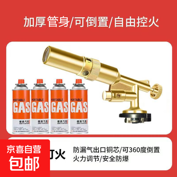 Spray gun spray gun cartridge gas tank handheld household spray gun head burning pig hair baking charcoal igniter spray 303 spray gun + 4 tanks of gas