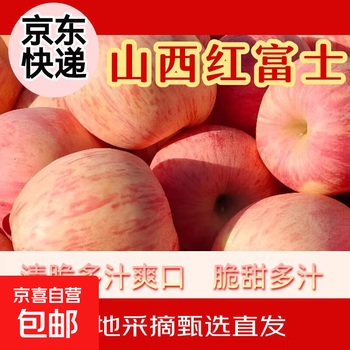 Authentic shanxi red fuji apple fruit crispy sweet ugly apple fresh fruit whole box gift box 8.5 jin 75mm