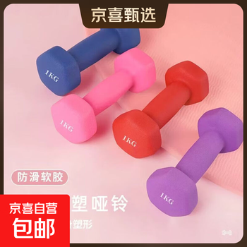 Plastic dipped dumbbell hexagonal dumbbell for women's home fitness slimming buttock training chest exercise training plastic dark purple 2.5kg *2 pieces