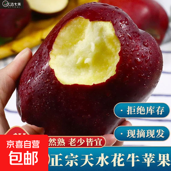 Authentic gansu tianshui huaniu apple fresh fruit seasonal snake fruit freshly picked scraped mud baby food powder noodles straight hair with box 9.5-10 catties commercial super extra large fruit