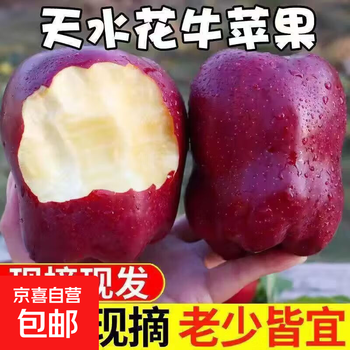 Gansu tianshui huaniu apple, freshly picked in season, scraped puree, authentic snake fruit baby food supplement, direct delivery from the origin, with box 9.5-10 kilograms, commercial super extra large fruit