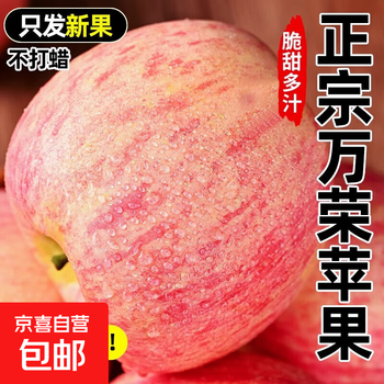 Authentic shanxi red fuji apple crispy sweet rock candy heart apple ugly apple fresh seasonal fruit selection boutique net weight 8.5 jin large fruit (80-90) (16-18 pcs)