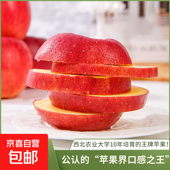 Hardcover authentic qin crisp apple seasonal fruit crisp, sweet and juicy fruit for pregnant women full box free shipping selected large fruit 7-9 pieces 5 jin