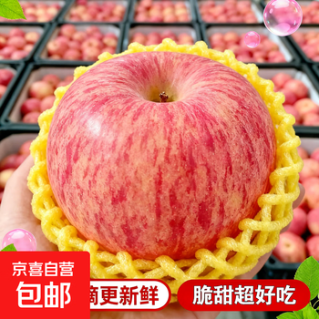 Shaanxi red fuji apple shaanxi red fuji apple 10 catties (fruit diameter 80-100)