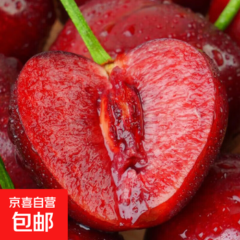 Chilean imported cherries, original box gift box, fresh and in season, 5 catties (net weight), 2j grade, color box