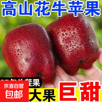 Gansu tianshui huaniu apple powder, glutinous and sweet, baby food supplement snake fruit for the elderly, delivered directly from the origin to jingdong express, with box 10 catties fruit king 85mm-95mm
