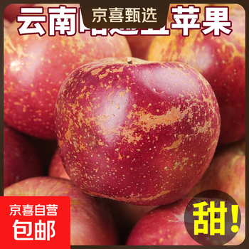 Ugly apple fresh yunnan zhaotong apple fresh fruit apple rock candy heart fuji seasonal mid-autumn festival fruit gift box 9 jin export grade fruit best deal 80-90mm