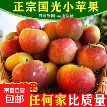 Guoguang small apple, a specialty of northeast china, straight, sweet and juicy, new arrival in season, about 250g in box