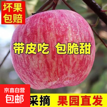 Authentic red fuji apples from jingning, gansu, seasonal, crisp, sweet, juicy, refreshing, pesticide-free, whole box of large fruits, 9 pounds, 80 (inclusive)-85 (exclusive)