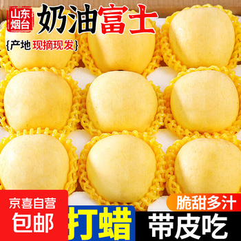 Authentic yantai golden cream fuji apples, fresh, crisp and sweet, 1kg