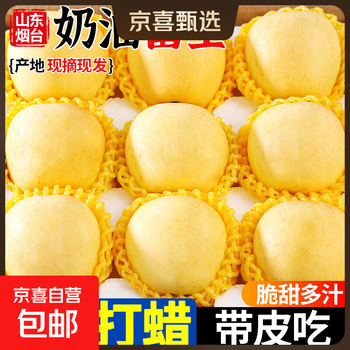 Creamy fuji apples freshly grown from the tree are crisp, sweet and juicy. the new fruits are 60-90mm from the tree. 8.5kg large fruit.