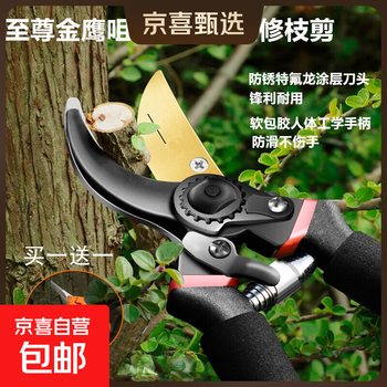 Jingxi selected pruning shears for home gardening, powerful and labor-saving thick branch scissors, gardening and floral scissors, upgraded soft-coated rubber handle pruning scissors and fruit thinning scissors.