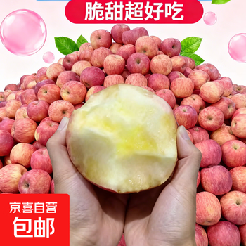 Shaanxi weibei plateau dry land crisp sweet red fuji red fuji crisp apple 5kg (medium fruit)