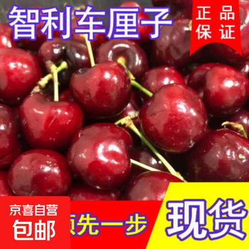 Be the first to try chilean imported cherries, fresh large cherries, crispy, sweet and refreshing seasonal fruit gift box, 2.7kg (net weight), 3kg in box, extra large fruit 2j, single fruit 28-30mm