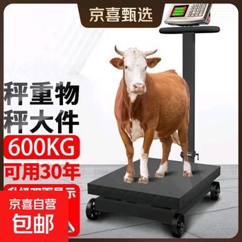 Jingxi selection floor-standing electronic scale with wheels weighing commercial platform scale cargo scale pricing large 600kg dual display wheel scale platform scale, 45x60cm large table