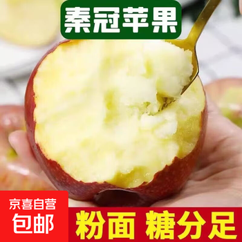 Shanxi's authentic qinguan noodle apple fresh seasonal fruit for babies and the elderly. it can be crispy and sweet when eaten by scraping the mud. it comes with a box of 5 kilograms and is a cost-effective package of large fruit 70mm+.