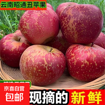 Jingxijia's authentic 25-year-old new fruit yunnan zhaotong rock sugar ugly apple seasonal fruit freshly picked crispy sweet wild fuji apple 6 pounds of small fruit in the whole box fruit diameter 60-70, suitable for babies