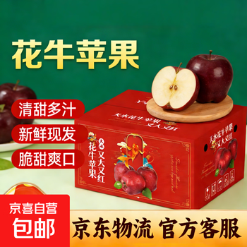 Huaniu apple gansu seasonal fresh red snake noodle apple baby food complementary fruit mid-autumn festival gift box huaniu apple net weight 8.5 jin 70mm+