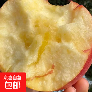 Shanxi yuncheng bingtangxinlinyi red fuji ugly apple crisp, sweet and juicy pregnant women can eat fresh orchard straight hair 75-85 medium fruit net weight 8.5 jin not all red