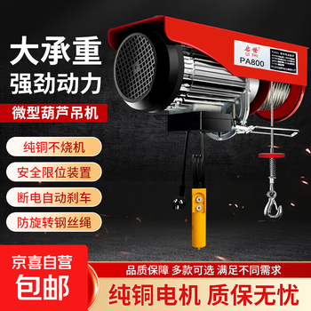 Mini electric hoist 220v household crane hoist small 1 ton 0.5 ton decoration winch lifting crane 250-500 kg 20 meters 220v pure copper motor