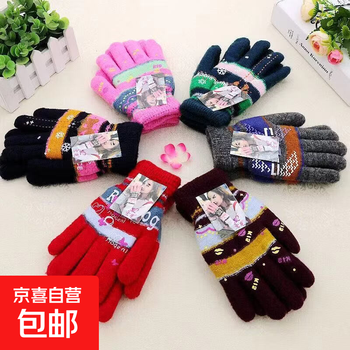 Motorcycle gloves double layer velvet thickened cold-proof warm gloves outdoor riding autumn and winter sports electric vehicle gloves mohair men's double layer random color one size fits all