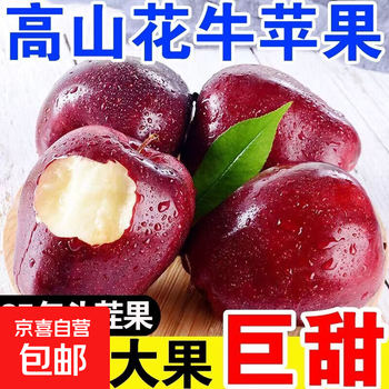 Gansu tianshui huaniu apple powder, glutinous and sweet, baby food supplement, snake fruit for the elderly, delivered directly from the origin to jd.com, with a box of 9 pounds of 60-70mm small fruits