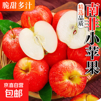 Small apples imported from south africa, crisp, sweet and delicious fuji fresh fruit, mini, compact and easy to carry, 6 pieces (single fruit 80-100g)