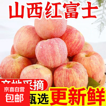 Authentic shanxi red fuji apple 2025 new fruit picked now harvested box 8 jin early access single fruit 70mm+