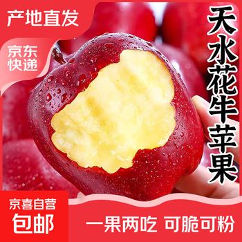 Authentic gansu huaniu apple tianshui authentic fresh seasonal fruit noodle crispy low-calorie light food supplement for pregnant women medium fruit 70mm net weight 3 jin