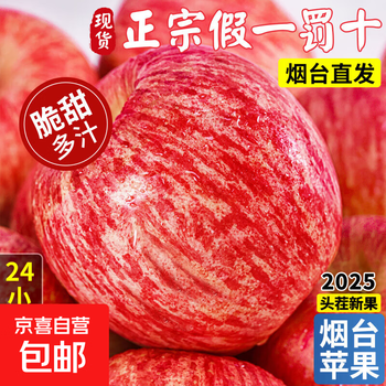 Authentic yantai apple fresh fruit 5 jins packed 10 jins seasonal whole box qixia crispy sweet apple gift box 80mm (inclusive)-85mm large fruit 10 jins (net weight 9 jins)