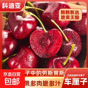 Ready stock cordia black cherries in original gift box with free shipping. crisp, sweet and delicious premium fruit with bright color. 10kg (net weight) cordia cherries three jd