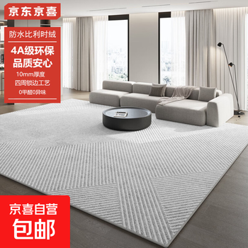 Carpet living room 2025 new light luxury high-end sofa floor mat no-wash and wipeable home waterproof bedroom thick qybr-24220 240cm*340cm