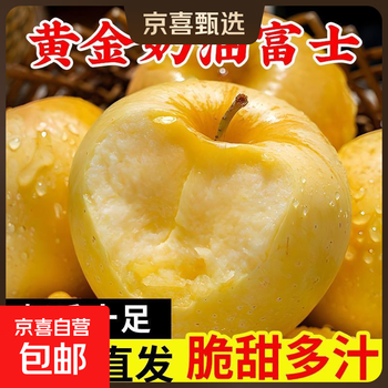 Golden cream fuji apple crisp, sweet and juicy authentic shandong yantai fuji apple qixia fruit with box 5kg cream fuji/medium fruit 75-80mm