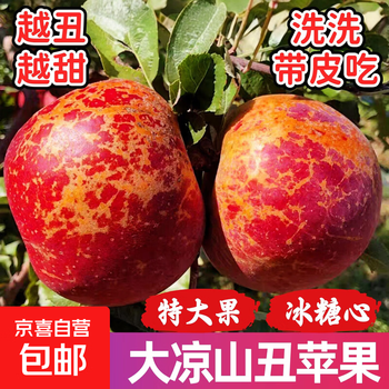 Authentic daliangshan ugly apple, super sweet rock candy heart, fresh seasonal fruit, salt source, sichuan red fuji apple, free shipping, 80mm-85mm large fruit, great value stock, 9 pounds