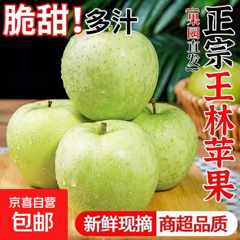 Wanglin apple green apple is a fresh, sweet and sour fruit that is picked in season with free shipping. direct delivery from the origin. fruit diameter starts from 65cm. 1kg in box
