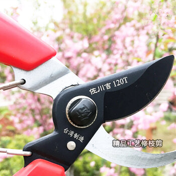 Sagawa yoshi 120/120t pruning shears for fruit trees garden tools 120t