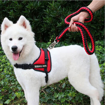 Pet circle (petcircle) dog rope pet harness leash dog harness dog harness explosion-proof dog chain for dogs going out red l (harness + traction rope) suitable for 35-60 catties