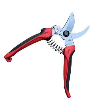 Sagawa yoshi 752/782 fruit picking scissors, straight fruit thinning scissors, pruning scissors, taiwan fruit tree scissors, 752 pruning scissors