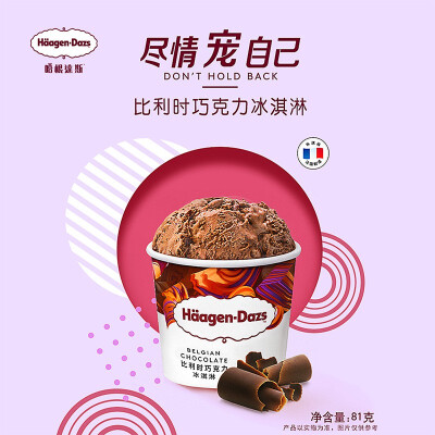 Haagen Dazs Belgian Chocolate Ice Cream 100ml