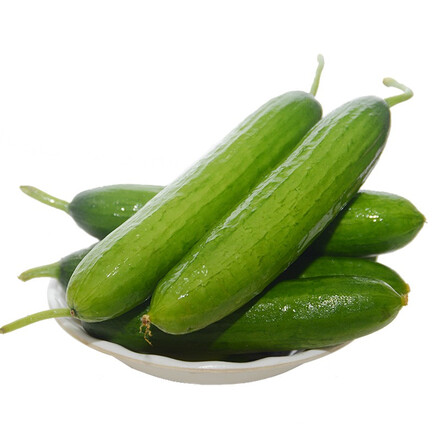 【正常发货】 水果黄瓜 小黄瓜新鲜 荷兰无刺黄瓜 小青瓜 2.5kg