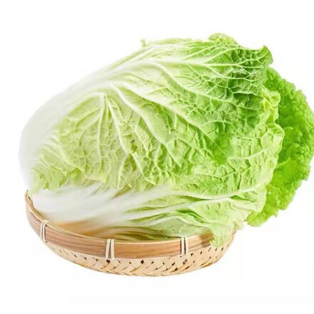 东北大白菜整颗 新鲜蔬菜腌酸菜大叶白菜 2整颗(约10斤)