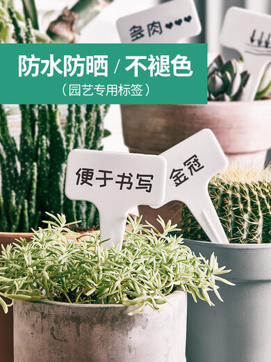 Gardening label plastic ground waterproof plug-in succulent plant T-type 1-type hanging tag flower potted small succulent label 3 colors 30 pieces
