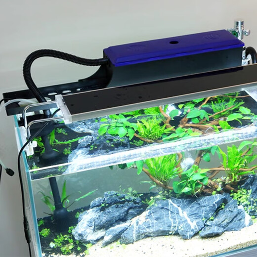 SUNSUN fish tank filter circulating water pump three-in-one water pump aquarium filtration and oxygen production JP-500GS 6W (without oil removal film) flow rate oxygenation adjustable