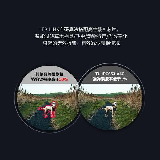 TP-LINK 500万4G全网通网络监控摄像头室外防水球机全彩夜视360度智能监控器摄像机TL-IPC653-A4G电源套装版