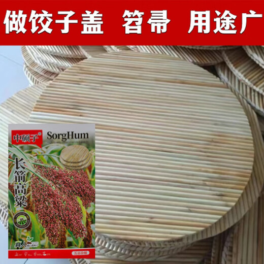 Asarum old-fashioned long-pole sorghum seeds can be used to make brush dumplings, covered brooms, farm handmade cooking broom sorghum seeds, long arrow sorghum seeds original 40g 1 bag