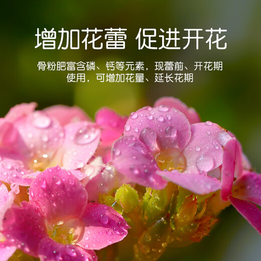 Stanley (STANLEY) horticultural bone meal flower fertilizer to promote flowering, high phosphorus and high potassium, skim bone meal fertilizer for flowering vegetables and vegetables 500g