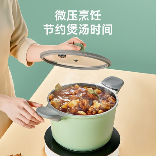 Cui Dahuang Cui Dahuang soup pot non-stick stew pot medical rice stone color soup household baby food supplement 22cm electromagnetic gas universal bamboo green [micro-pressure freshness lock] - comes with soup spoon + steamer
