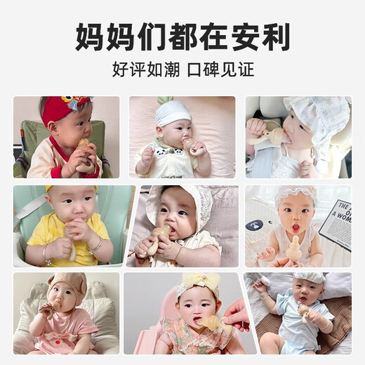 Royalcare Baby Fruit and Vegetable Artifact for Baby Over 6 Months Baby Pacifier Food Bite Bag Food Grade Silicone Elk S Size + L Size Mesh Bag + Anti-chain Powder 1 Pack